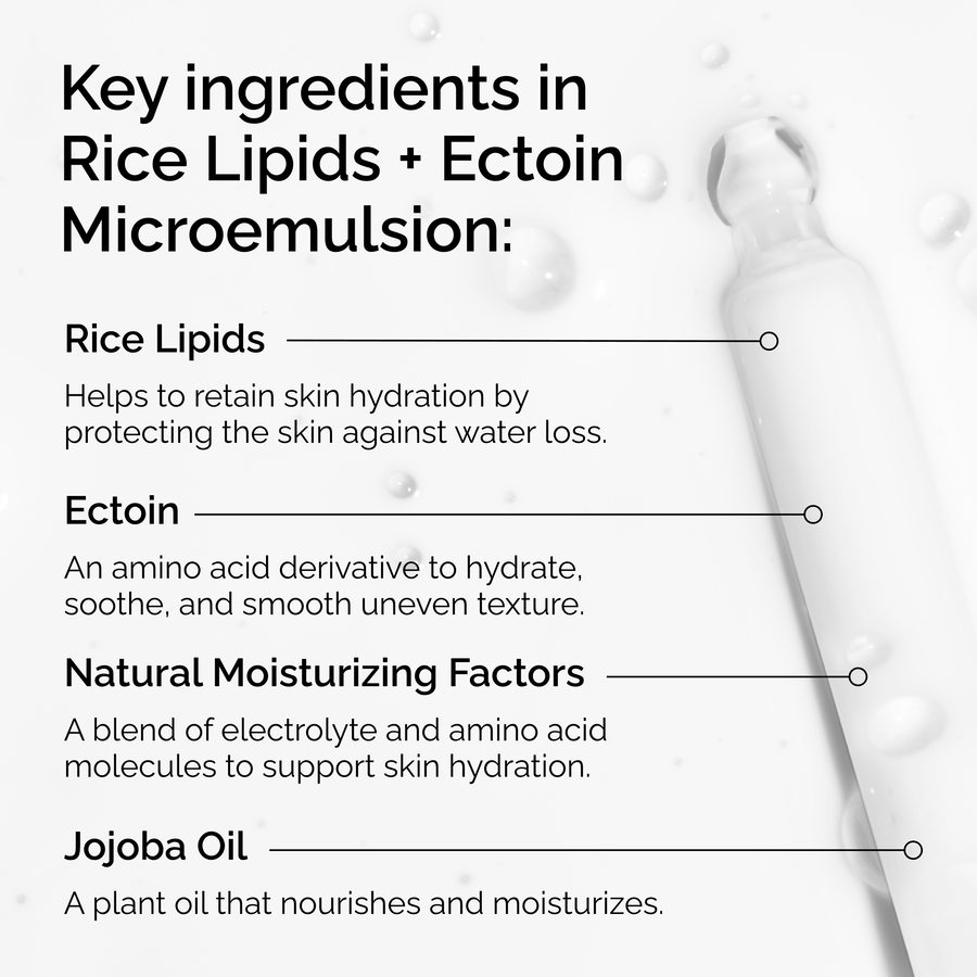 rice-lipids-ectoin-microemulsion-x0 ord-rice-lipids-ectoin-microemulsion-key-ingredients.png